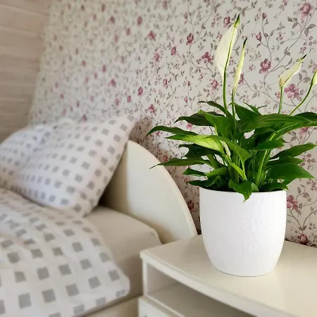 Kaldeni Majutus Dom wakacyjny Myza Are